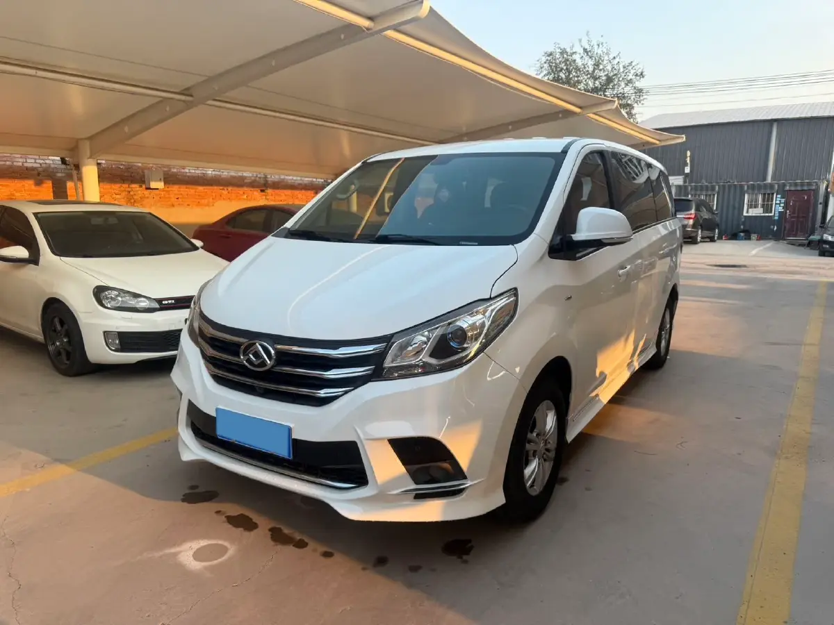 2020 MAXUS G20 2.0T 224HP L4 8AT