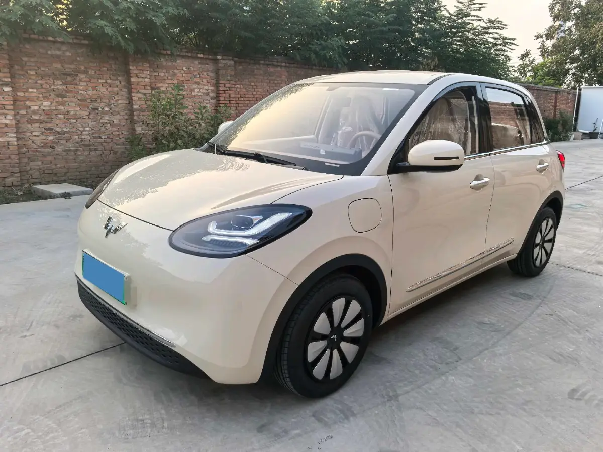 2025 WuLing BinGuo BEV