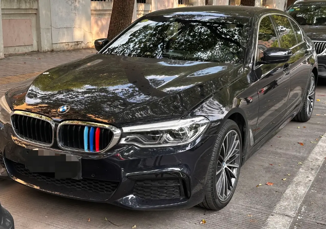 2020 BMW 5 Series 2.0T 252HP L4 8AT