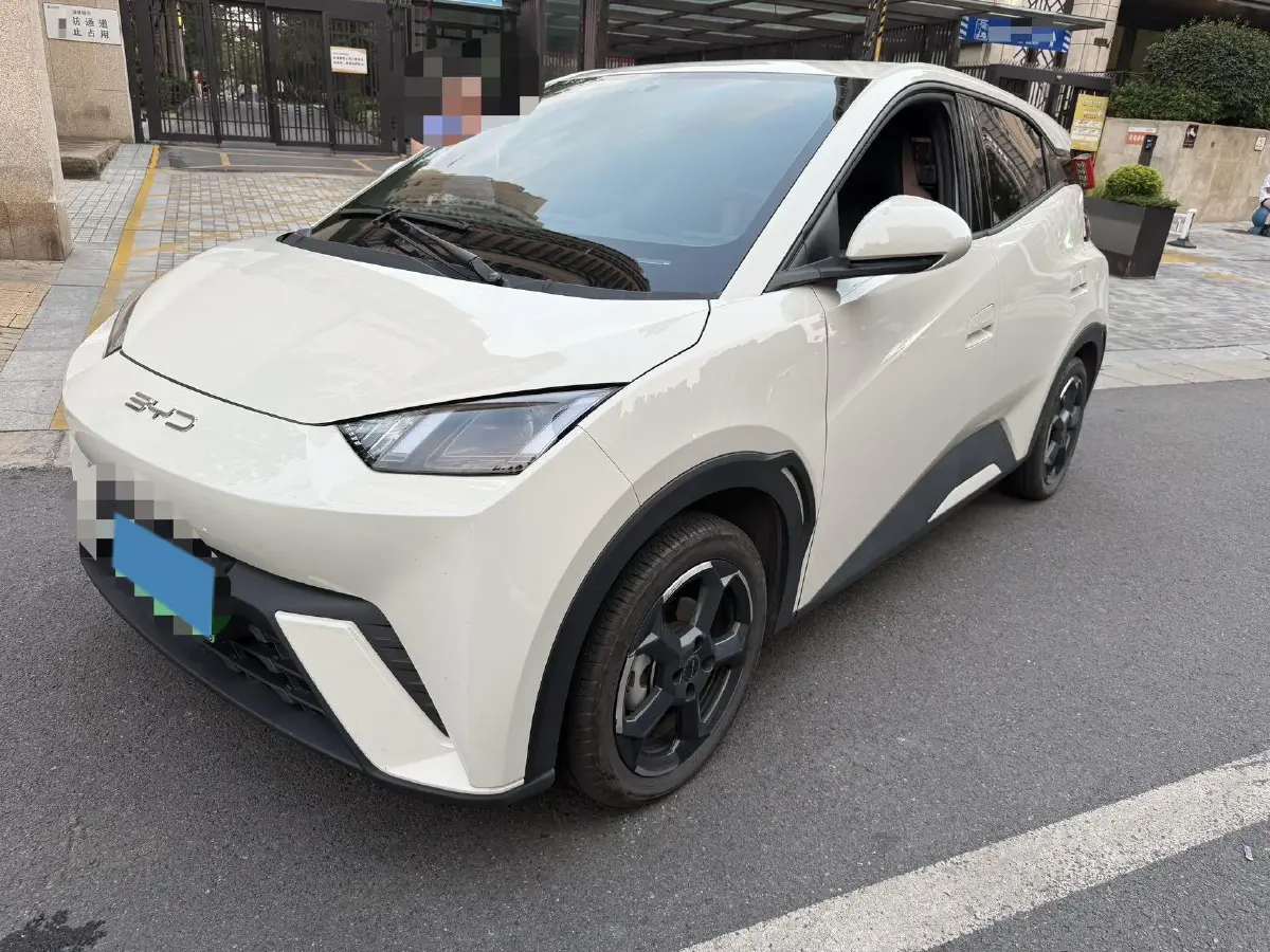 2023 BYD Seagull BEV 38.88KWH