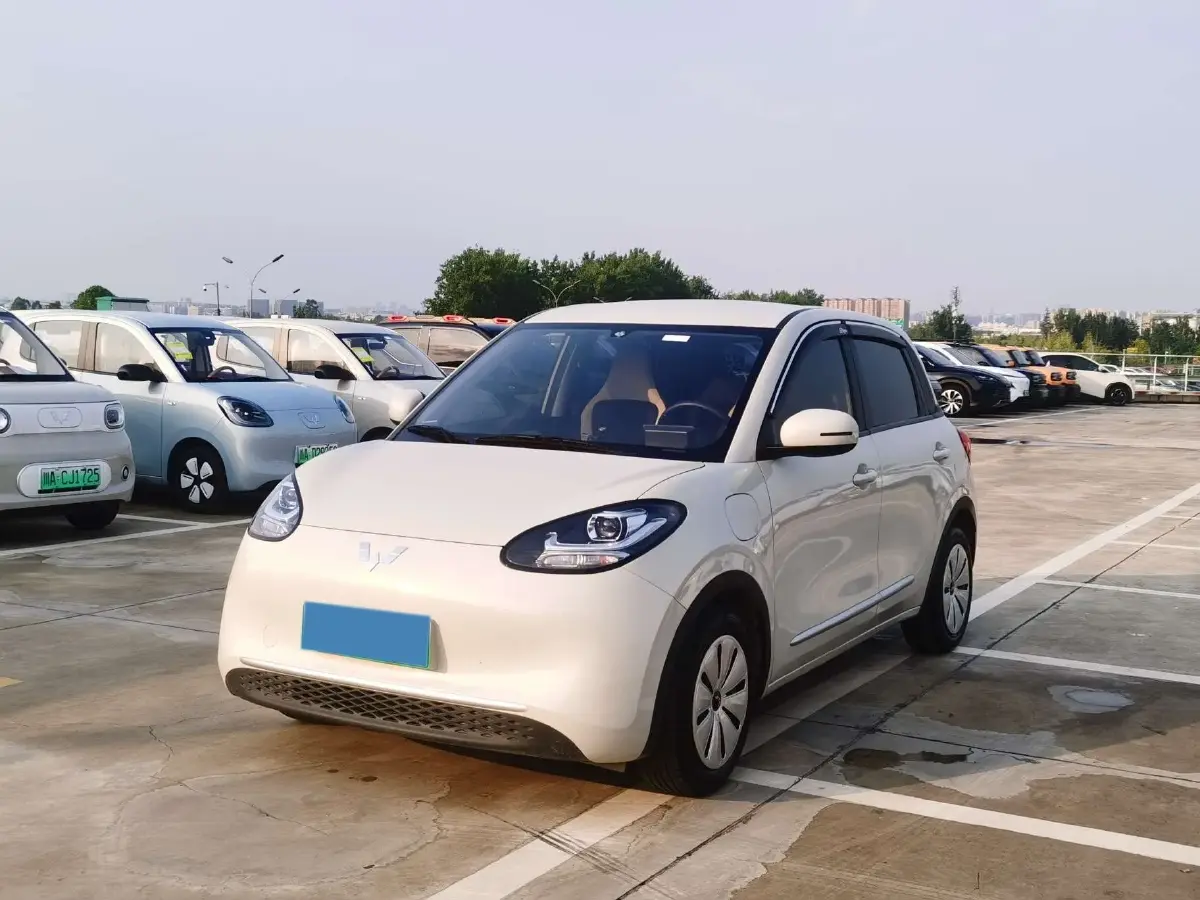 2023 WuLing BinGuo BEV 31.9KWH