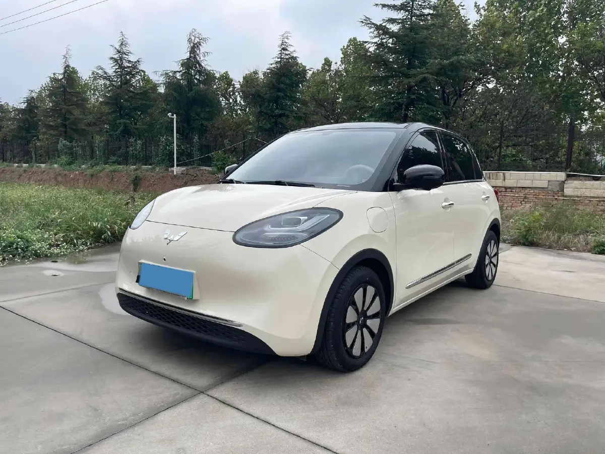 2025 WuLing BinGuo BEV
