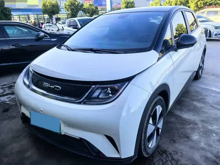 2023 BYD Dolphin BEV 44.928KWH