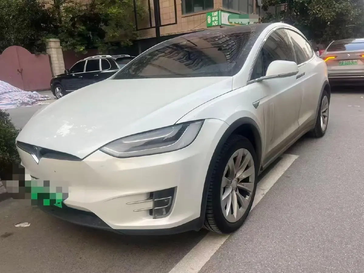 2019 Tesla Model X BEV 100KWH