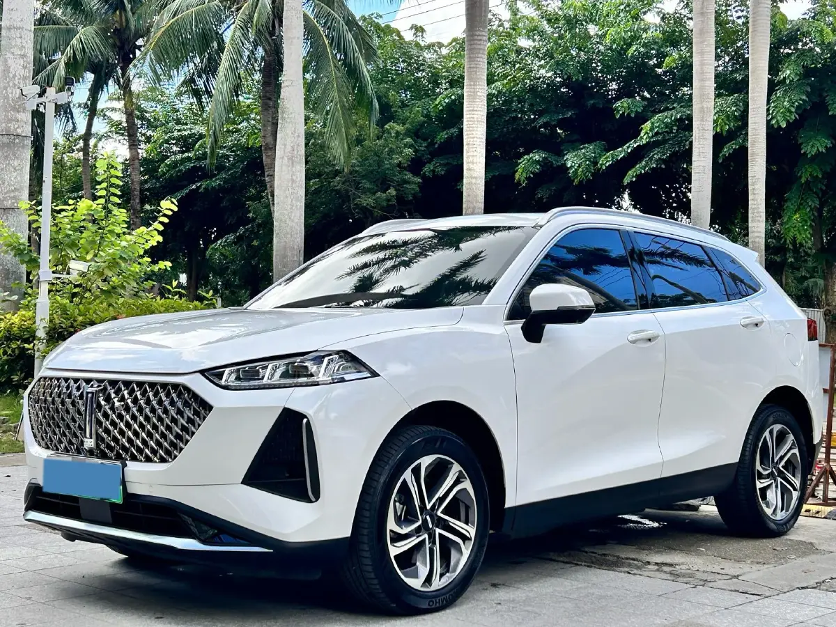 2021 WEY Macchiato 1.5L 97HP L4 2DHT PHEV 19.94KWH