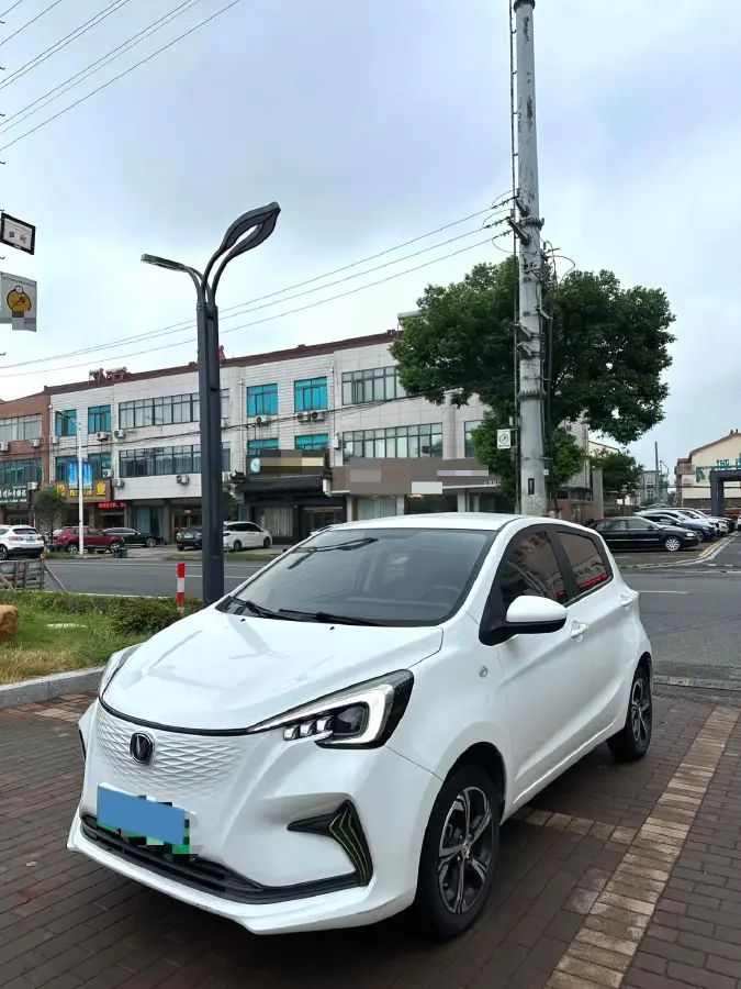 2020 ChangAn BenBen E-Star BEV 32.2KWH