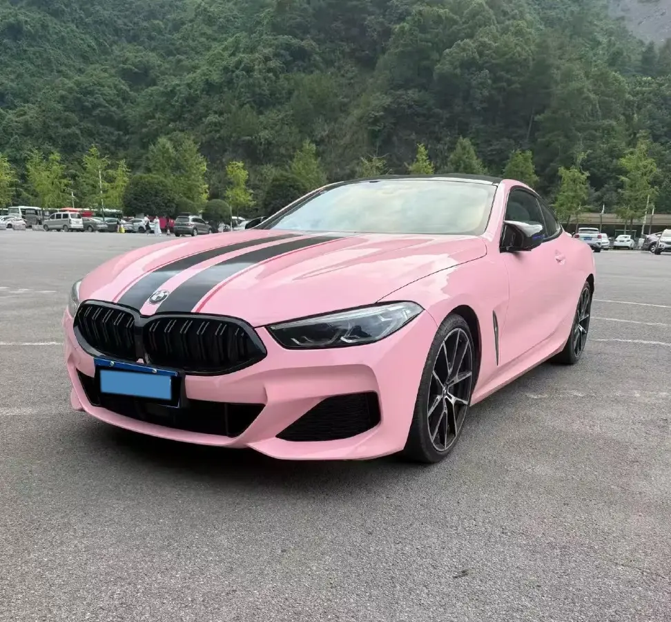 2019 BMW 8 Series 3.0T 340HP L6 8AT