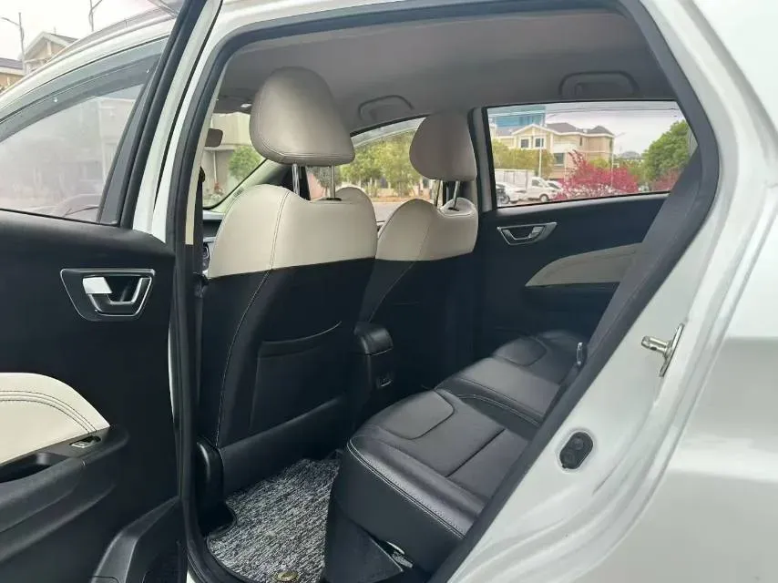 2020 Livan Maple 30X BEV 37KWH,autocango,china used car exporter,china ev exporter,chinese used car exporter,chinese used ev exporter