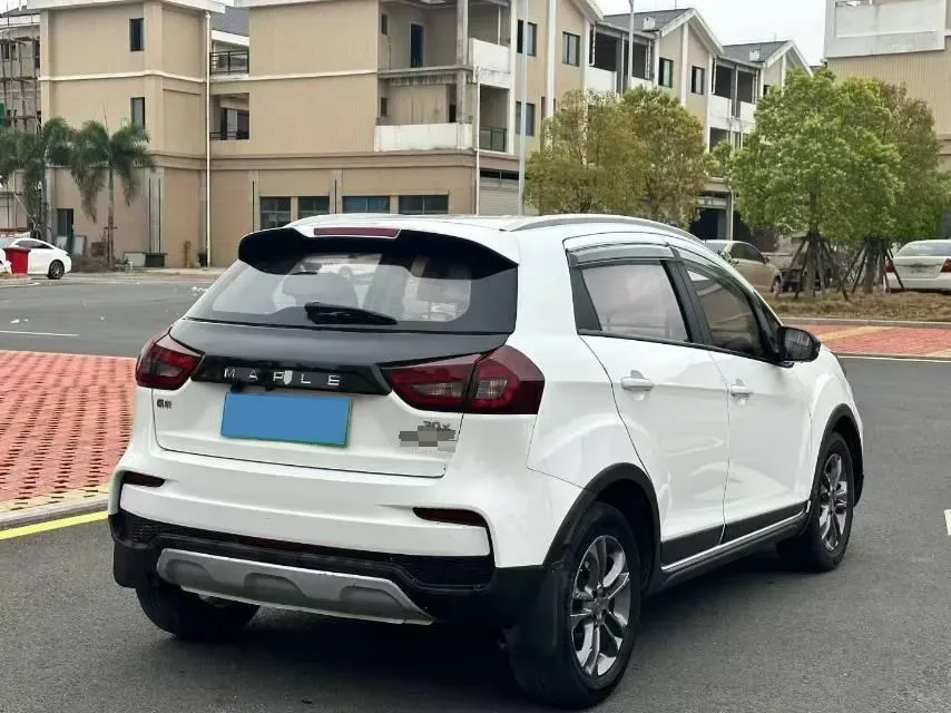 2020 Livan Maple 30X BEV 37KWH,autocango,china used car exporter,china ev exporter,chinese used car exporter,chinese used ev exporter