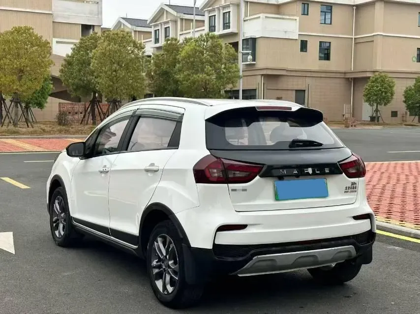 2020 Livan Maple 30X BEV 37KWH,autocango,china used car exporter,china ev exporter,chinese used car exporter,chinese used ev exporter