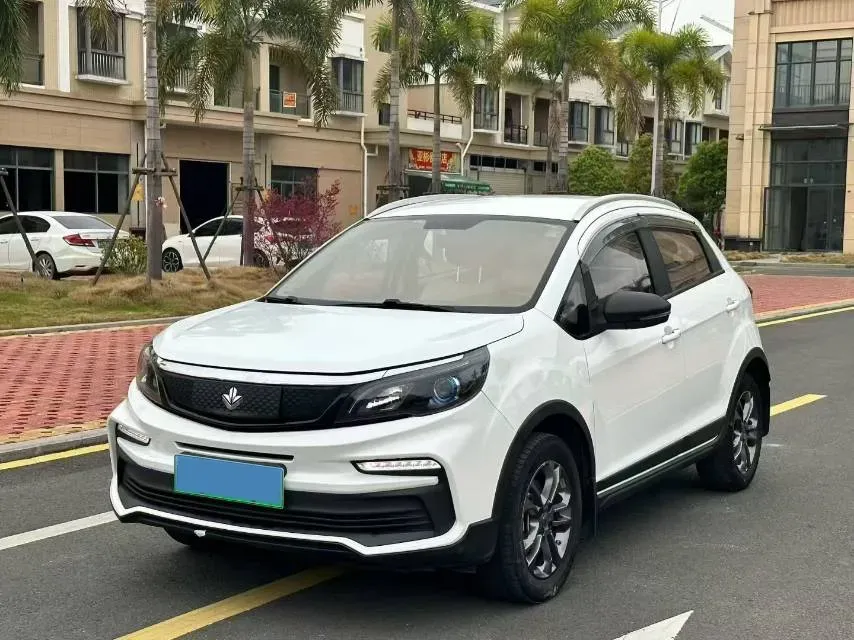 2020 Livan Maple 30X BEV 37KWH,autocango,china used car exporter,china ev exporter,chinese used car exporter,chinese used ev exporter