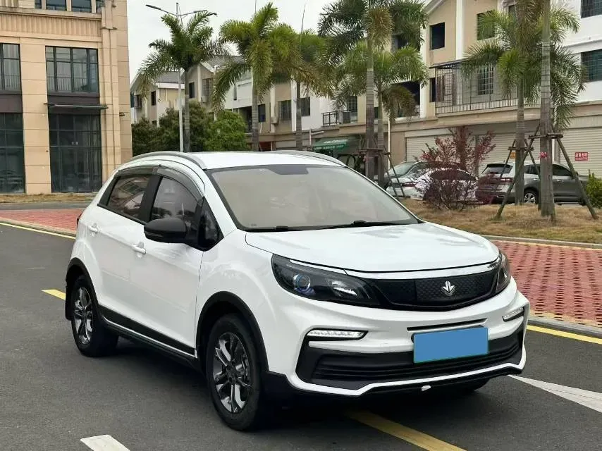 2020 Livan Maple 30X BEV 37KWH,autocango,china used car exporter,china ev exporter,chinese used car exporter,chinese used ev exporter