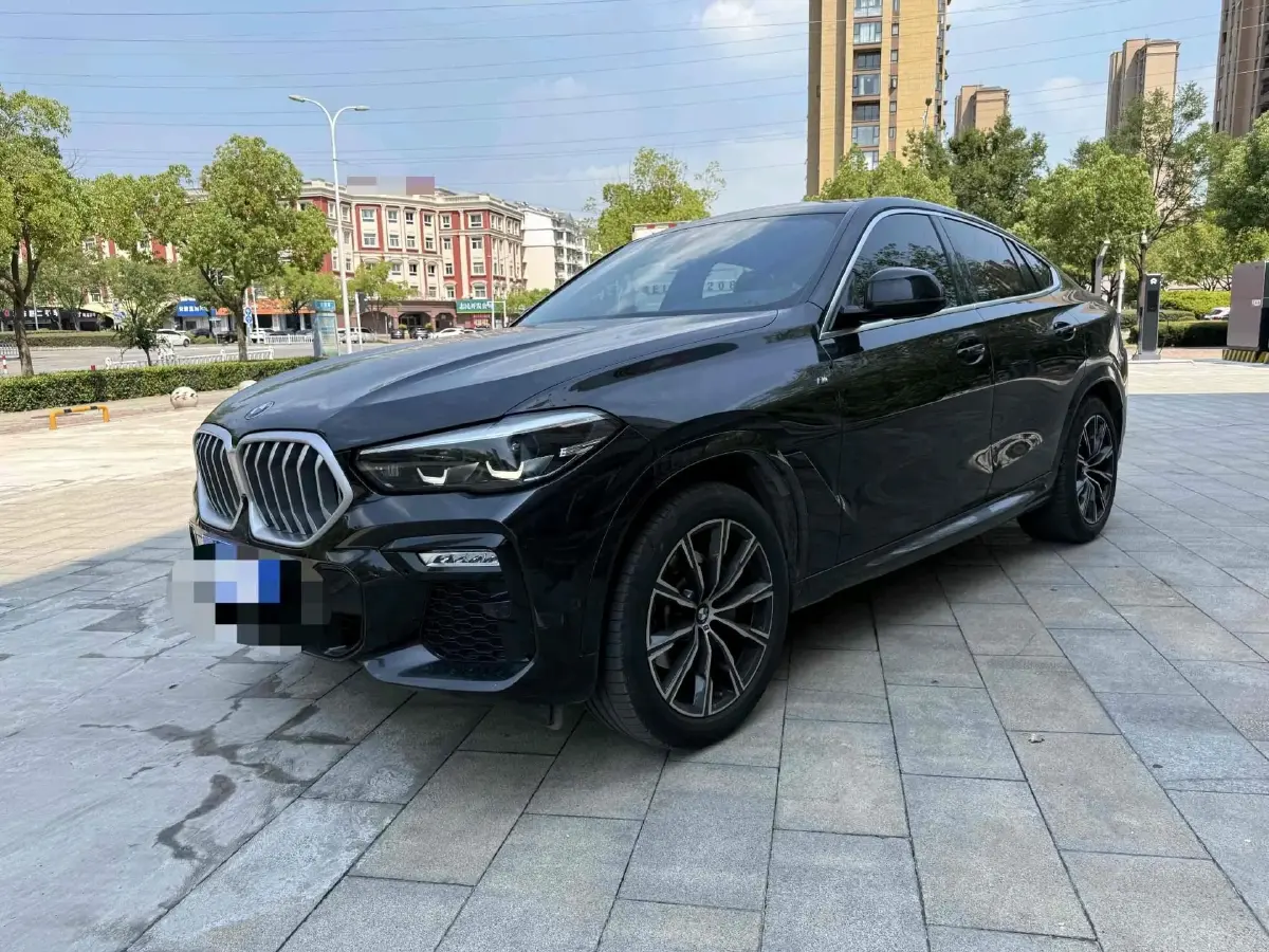 2021 BMW X6 2.0T 265HP L4 8AT