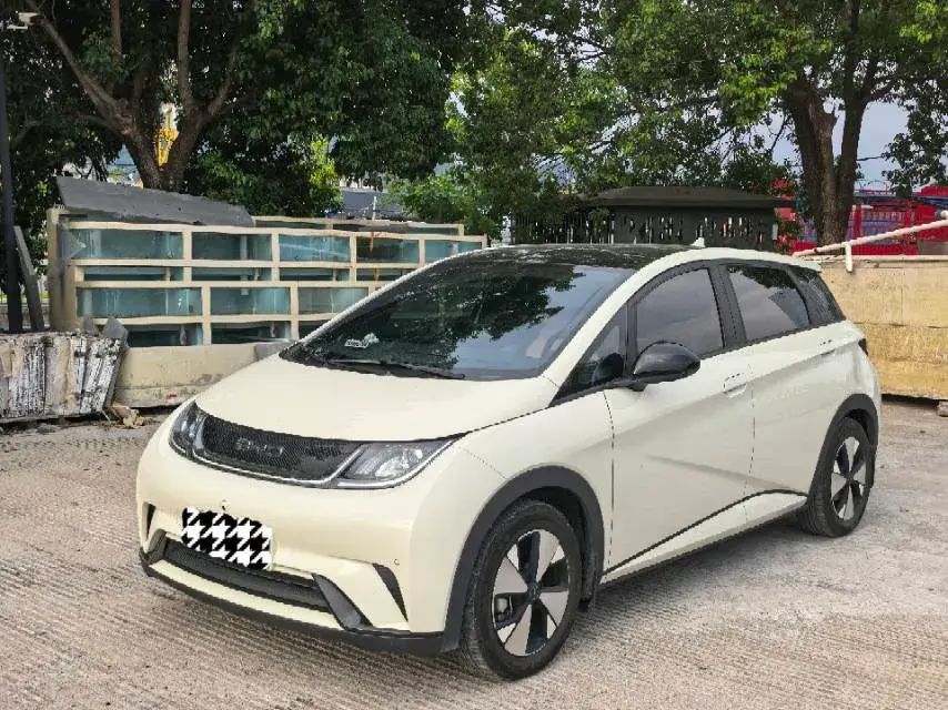 2023 BYD Dolphin BEV 44.928KWH