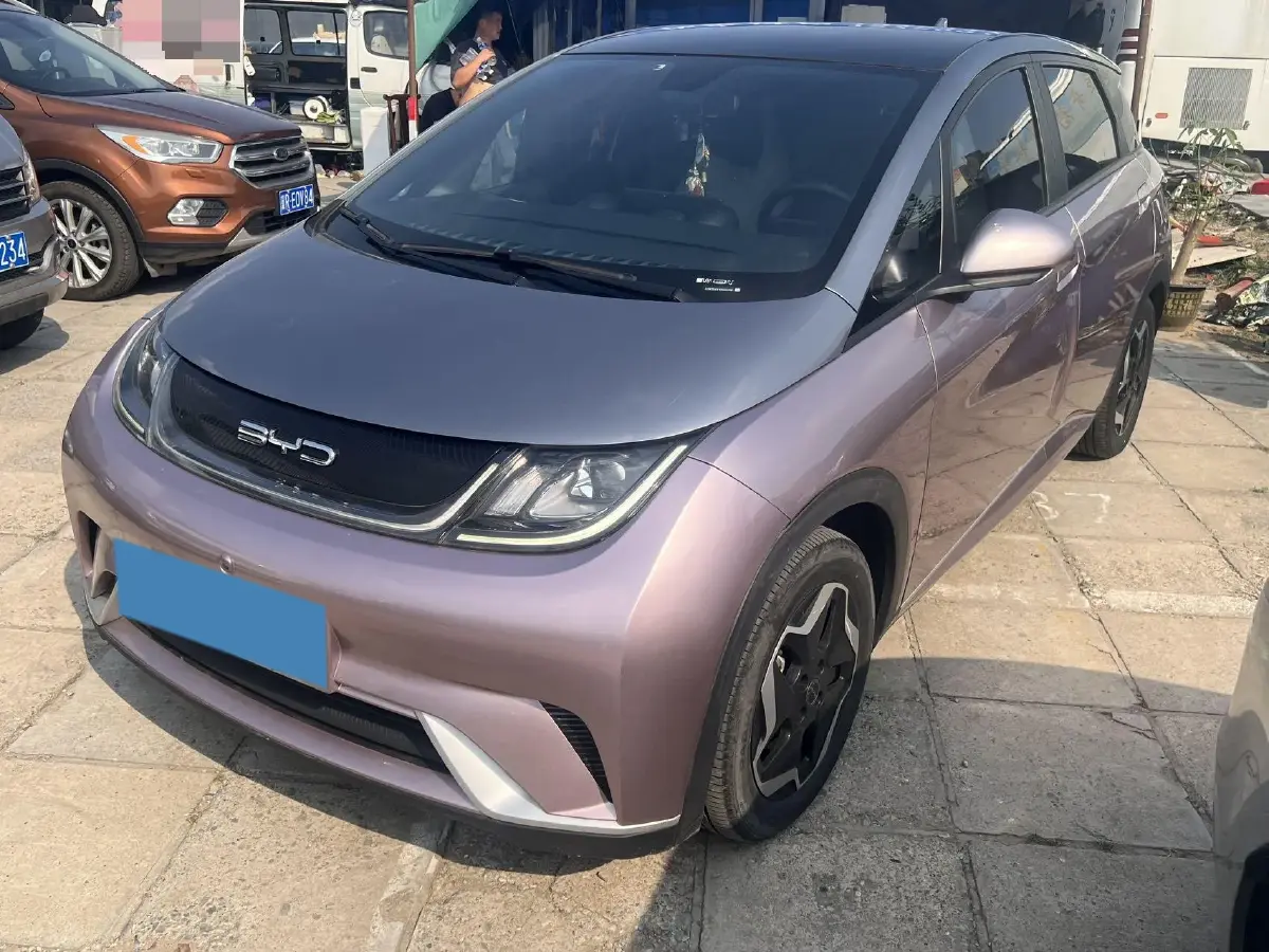 2021 BYD Dolphin BEV 44.9KWH