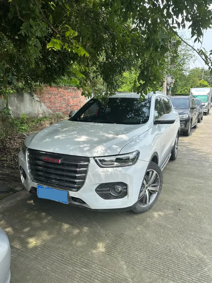 2017 Haval H6 2.0T 197HP L4 7DCT