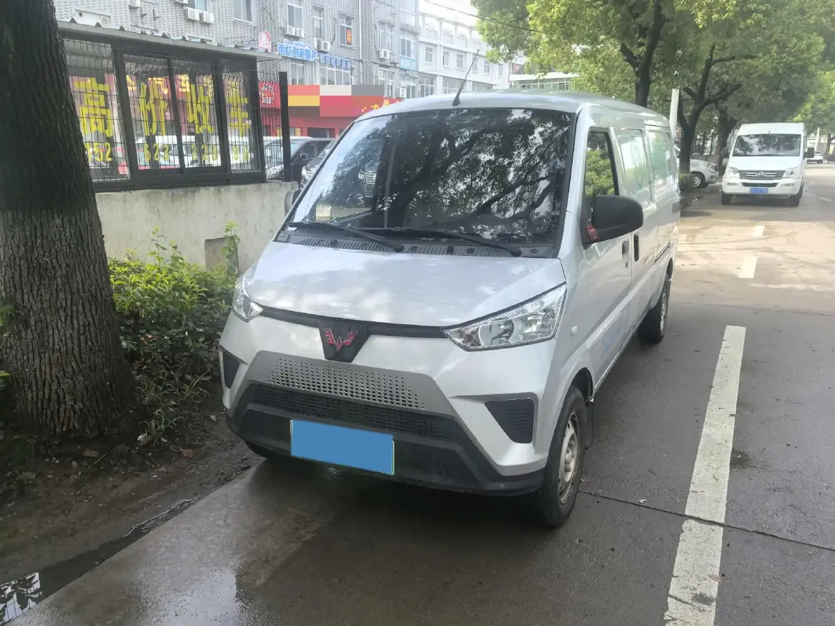 2021 WuLing EV50 BEV 41.86KWH