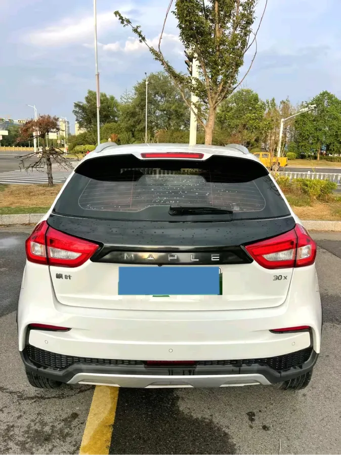 2020 Livan Maple 30X BEV 37KWH,autocango,china used car exporter,china ev exporter,chinese used car exporter,chinese used ev exporter