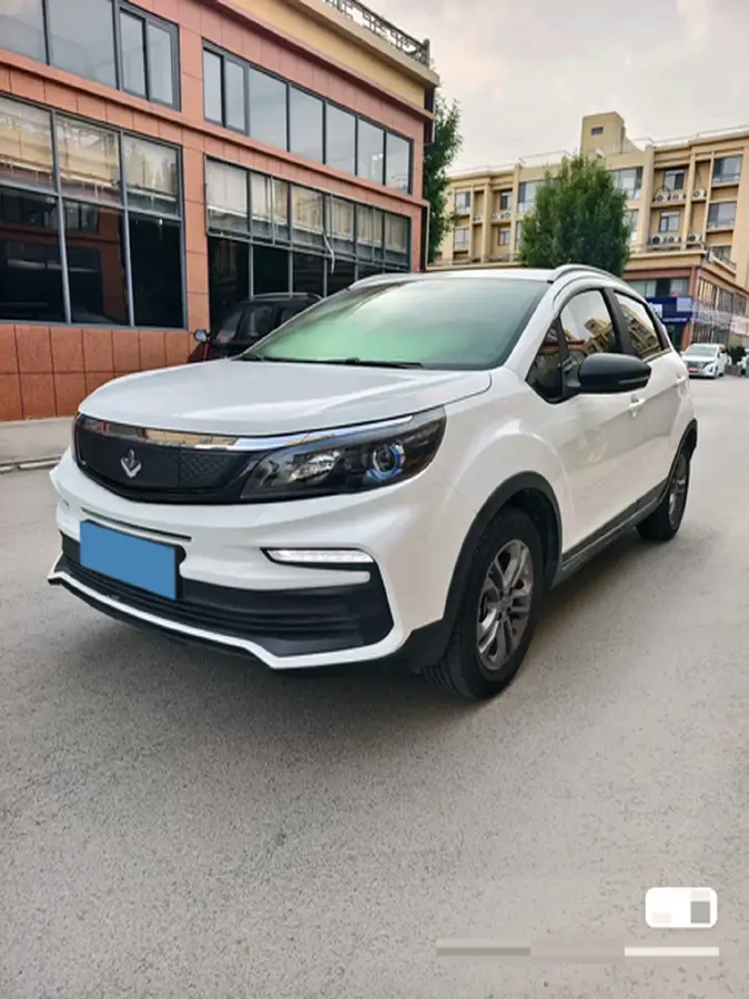 2020 Livan Maple 30X BEV 37KWH