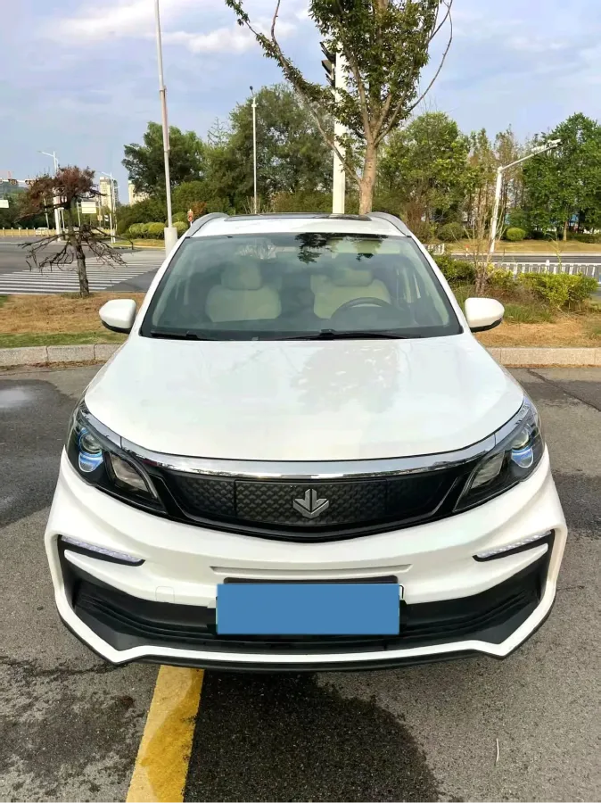 2020 Livan Maple 30X BEV 37KWH,autocango,china used car exporter,china ev exporter,chinese used car exporter,chinese used ev exporter