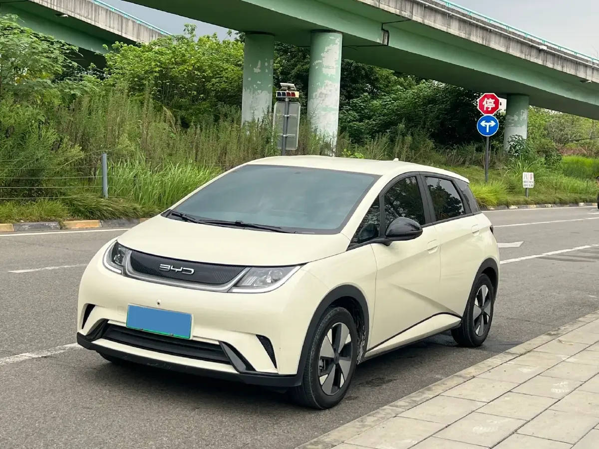 2023 BYD Dolphin BEV 44.928KWH