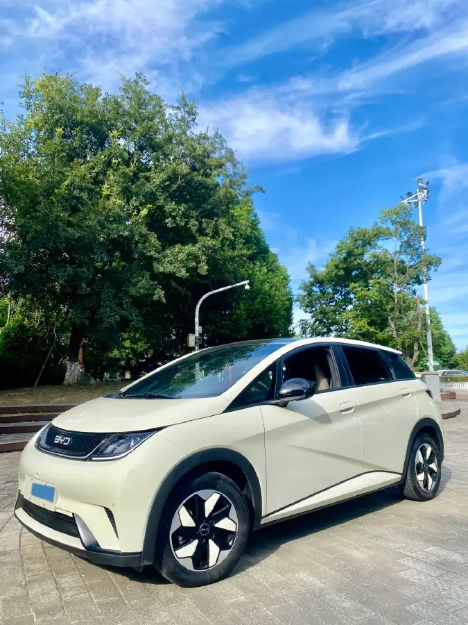 2025 BYD Dolphin BEV 44.928KWH