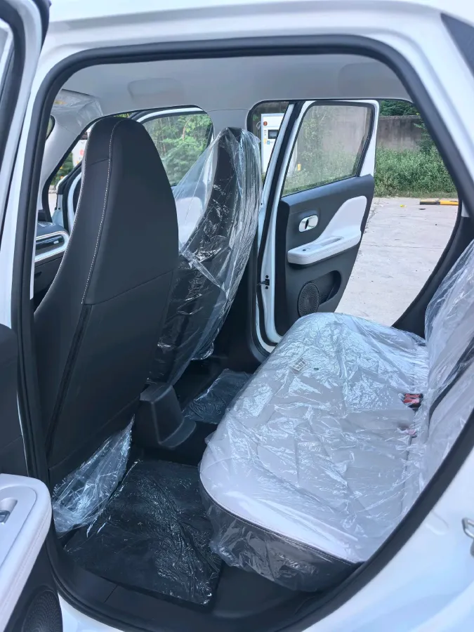 2025 Chery Duomi BEV,autocango,china used car exporter,china ev exporter,chinese used car exporter,chinese used ev exporter