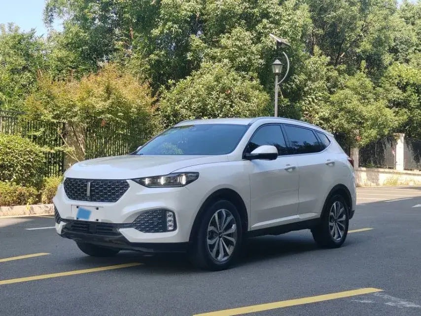 2020 WEY VV6 2.0T 227HP L4 7DCT