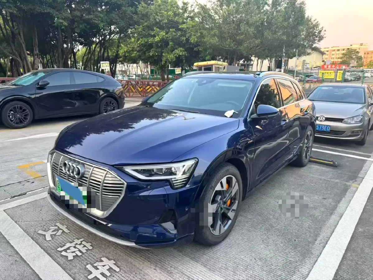 2019 Audi e-tron 2AT BEV 95KWH