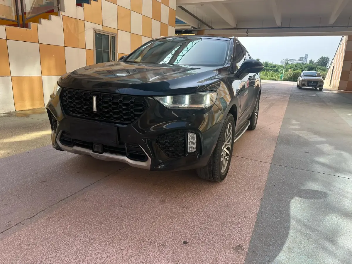 2019 WEY VV5 2.0T 224HP L4 7DCT