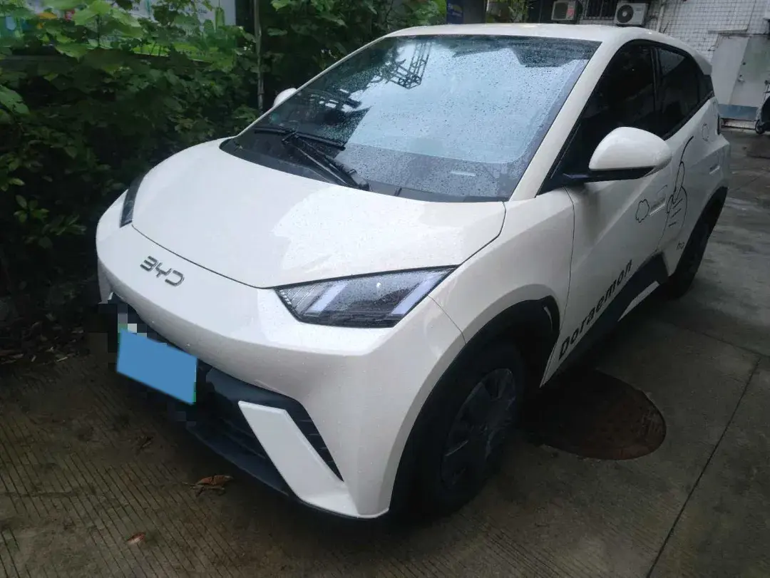 2024 BYD Seagull BEV 30.08KWH