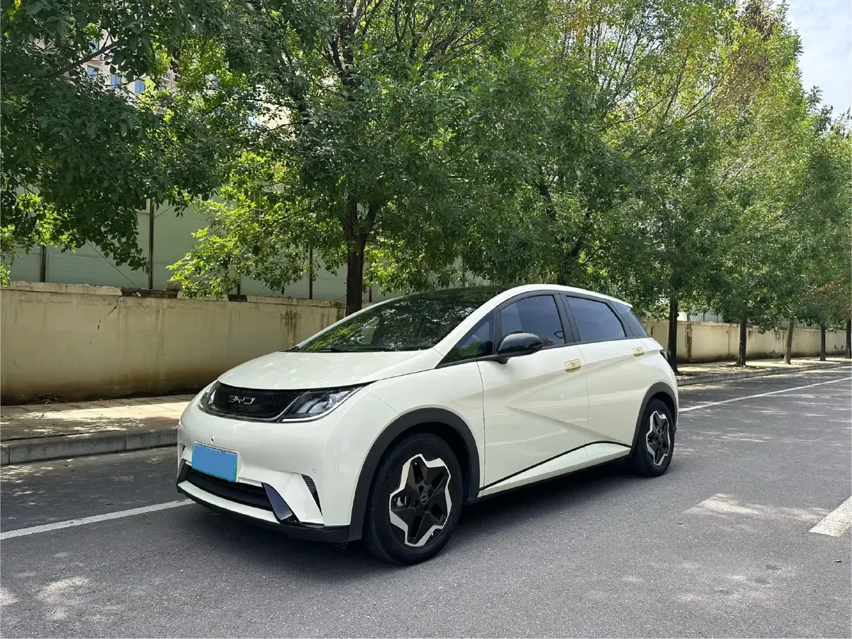 2023 BYD Dolphin BEV 44.928KWH