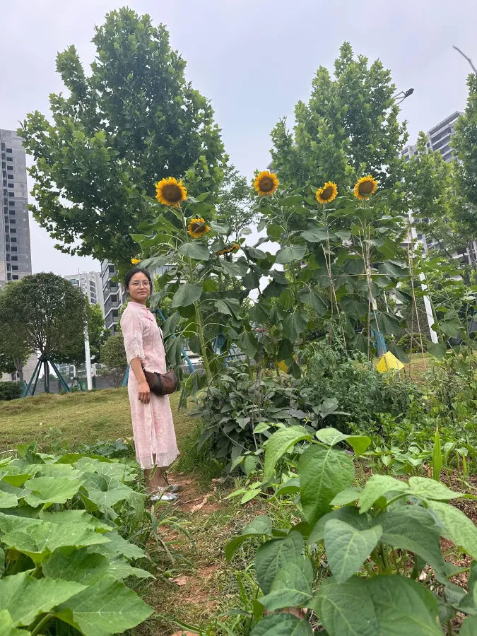 2016 BAW Battle Flag 2.0L 102HP L4 5MT,autocango,china used car exporter,china ev exporter,chinese used car exporter,chinese used ev exporter