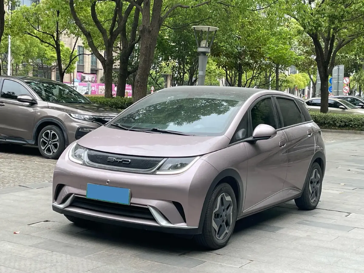 2021 BYD Dolphin BEV 44.9KWH