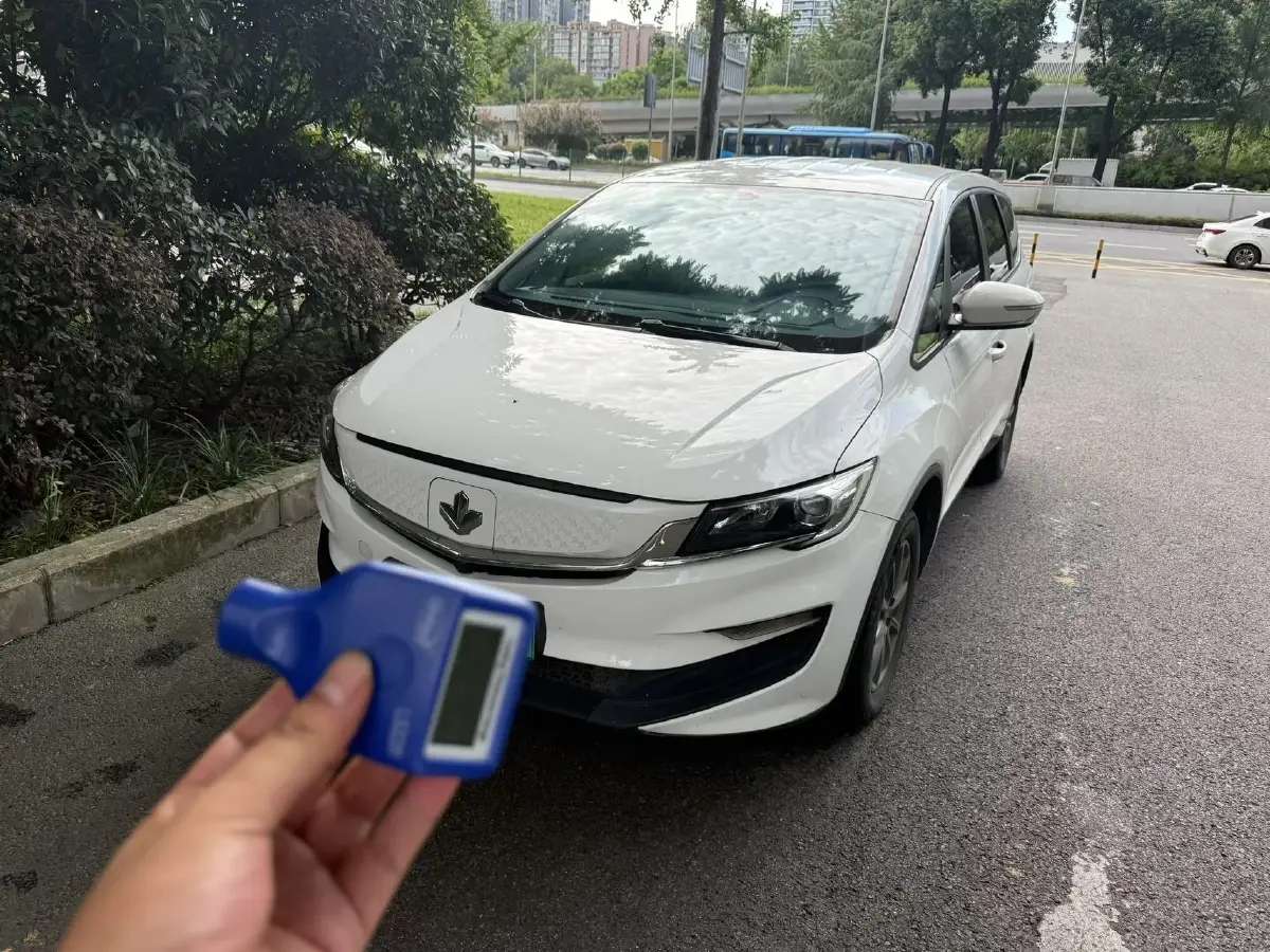 2021 Livan Maple 80v BEV 53KWH