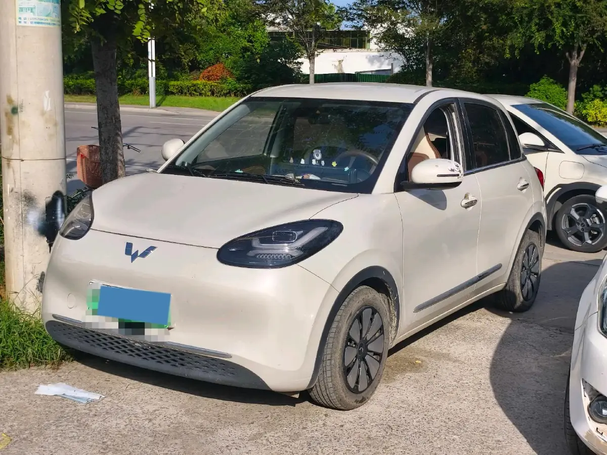 2023 WuLing BinGuo BEV 17.3KWH