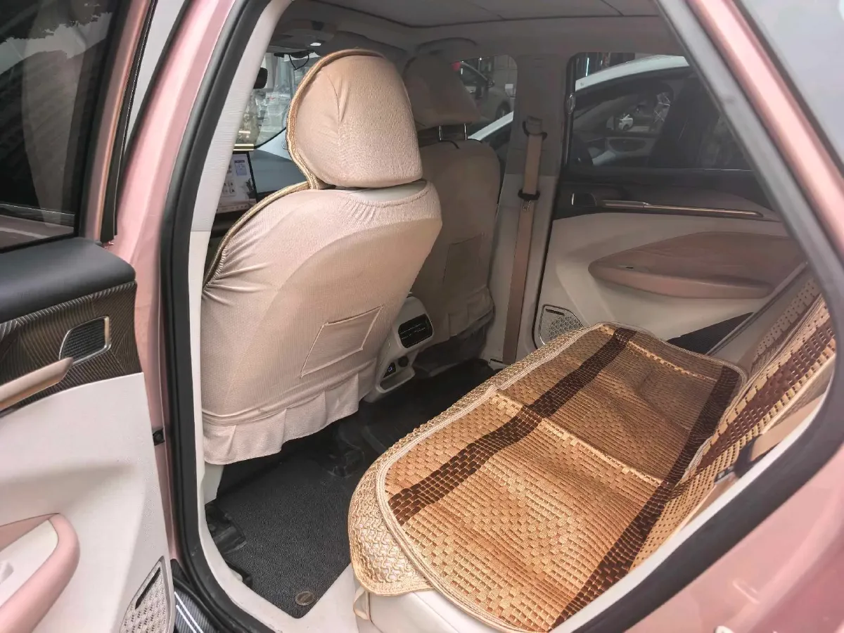 2022 Geometry M6 BEV 70KWH,autocango,china used car exporter,china ev exporter,chinese used car exporter,chinese used ev exporter