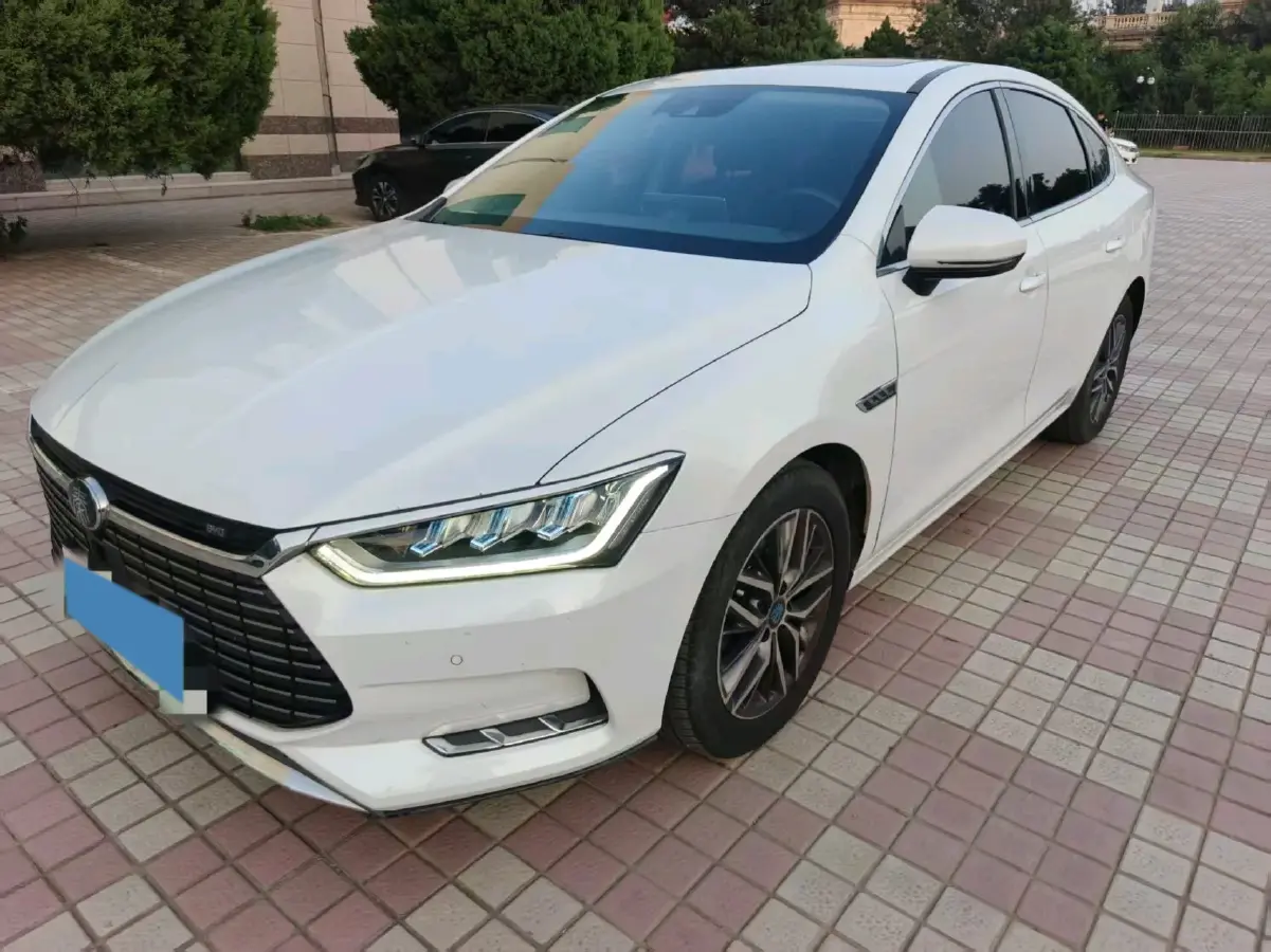 2019 BYD Qin Pro BEV 56.4KWH