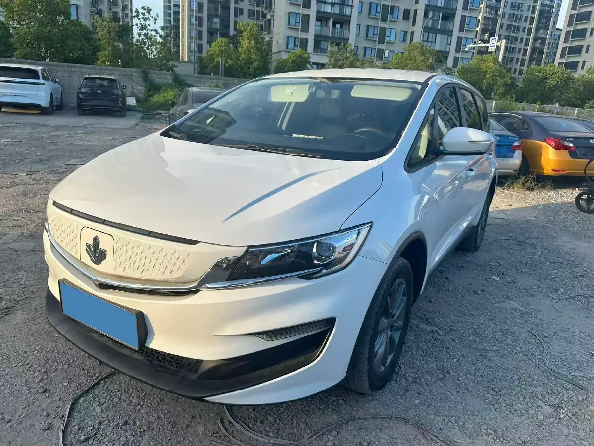 2021 Livan Maple 80v BEV 53KWH