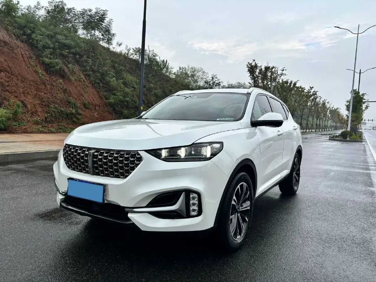 2021 WEY VV6 2.0T 227HP L4 7DCT