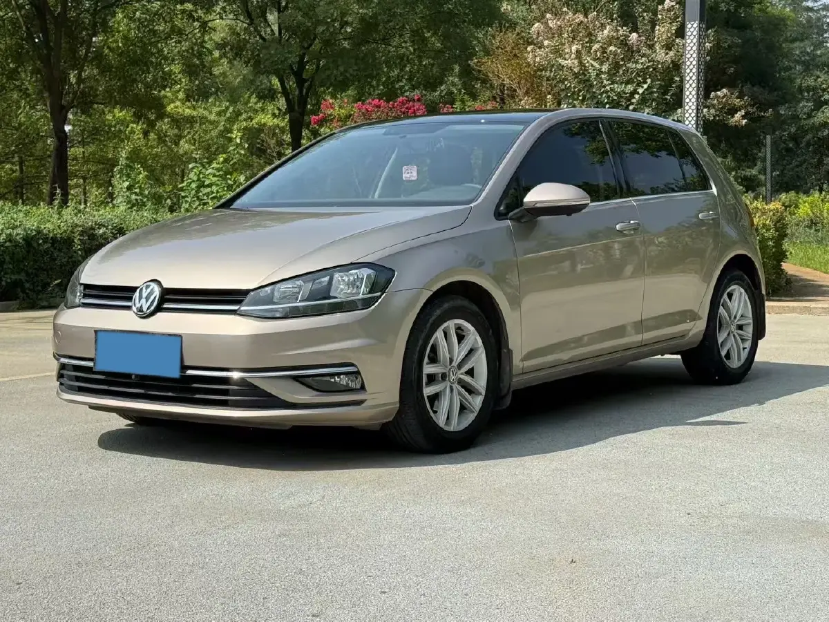 2019 Volkswagen Golf 1.6L 110HP L4 6AT
