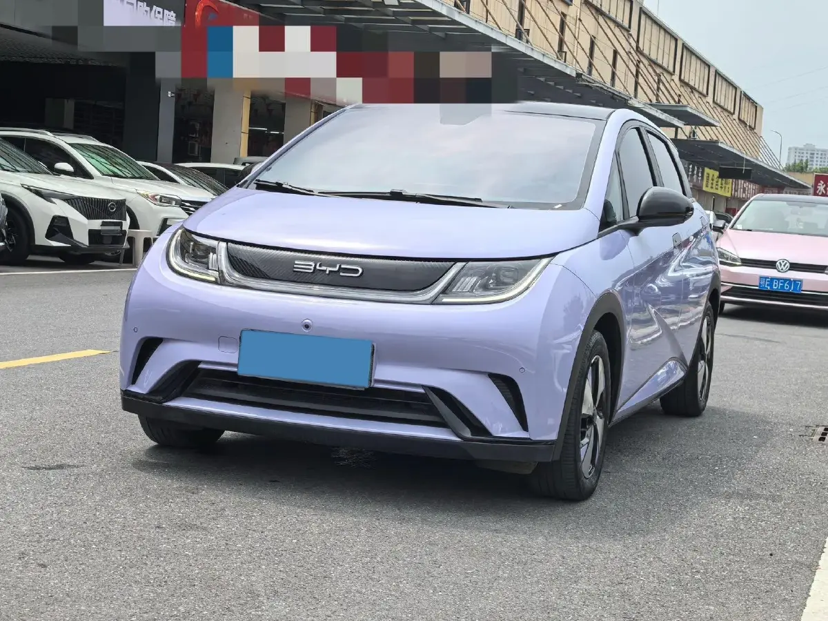 2021 BYD Dolphin BEV 44.9KWH