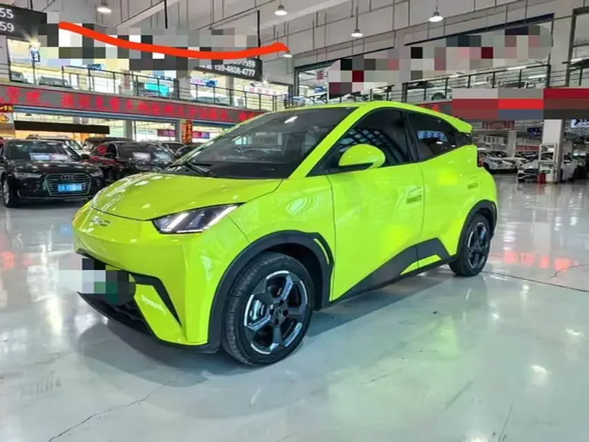 2023 BYD Seagull BEV 38.88KWH