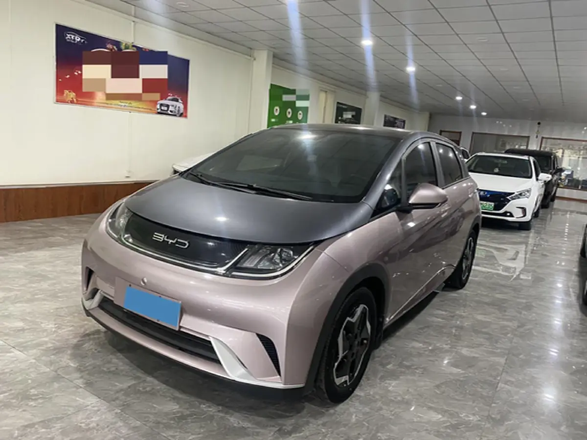 2023 BYD Dolphin BEV 44.928KWH