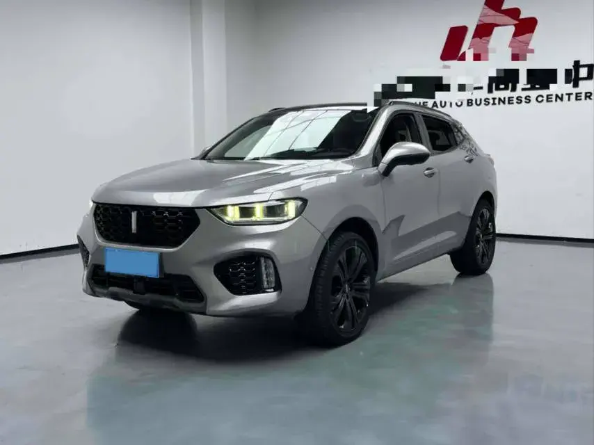 2019 WEY VV5 2.0T 197HP L4 7DCT