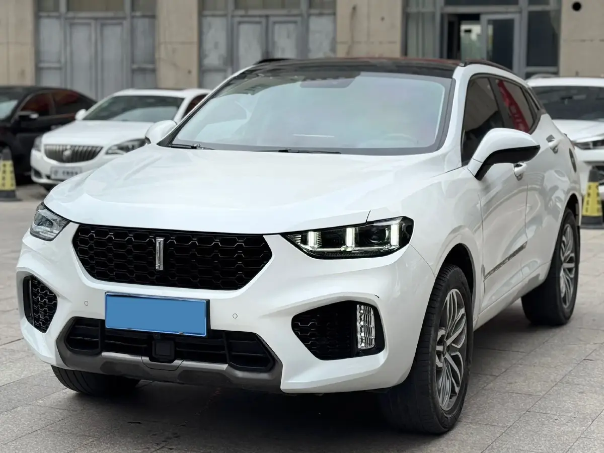 2017 WEY VV5 2.0T 197HP L4 7DCT