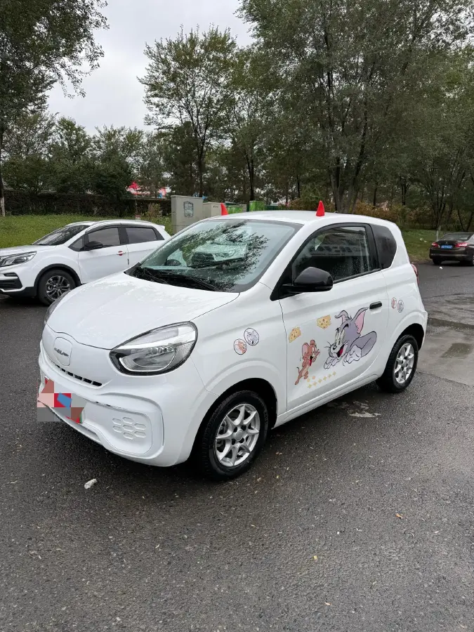 2022 Roewe Clever BEV 29KWH