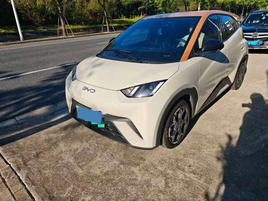 2024 BYD Seagull BEV 30.08KWH