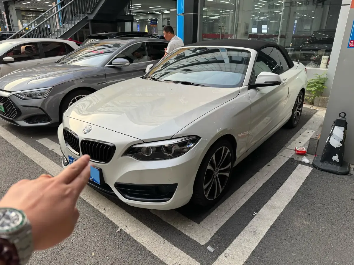 2019 BMW 2 Series 2.0T 184HP L4 8AT