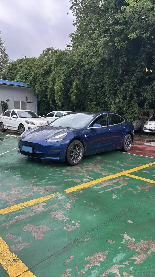 2019 Tesla Model 3 BEV 81KWH